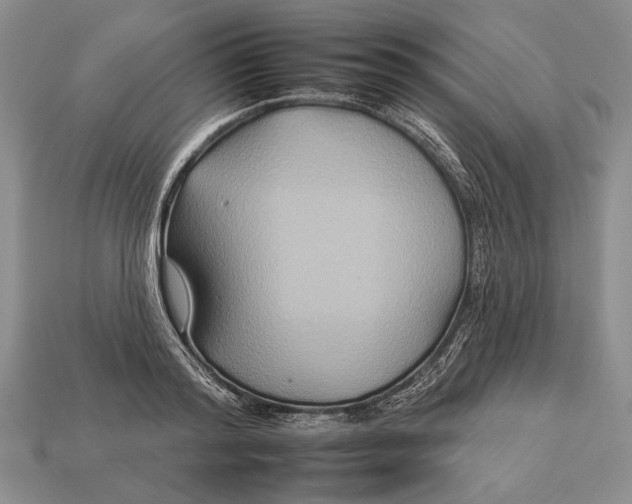 X0000112930796200909211112