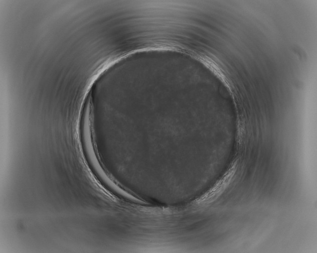X0000112930797200909211112
