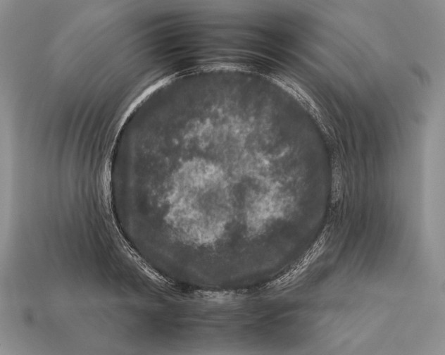 X0000112930798200909211112