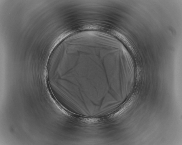 X0000112930802200909211112