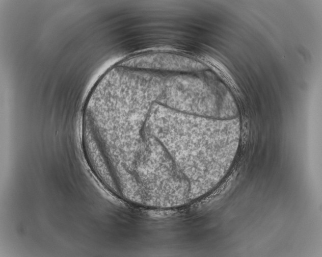 X0000112930804200909211112