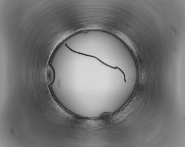 X0000112930805200909211112