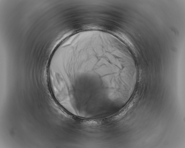 X0000112930806200909211112