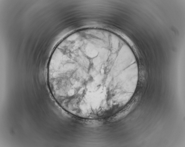X0000112930807200909211112