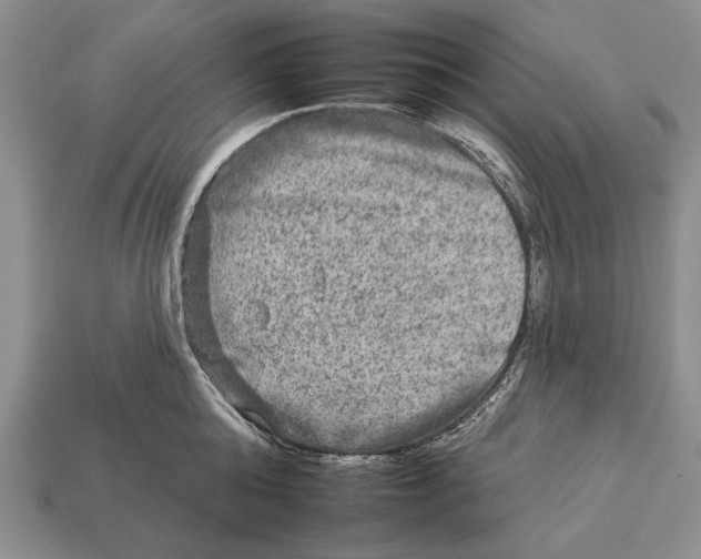 X0000112930808200909211112