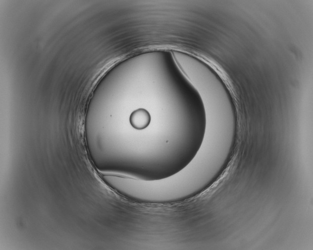 X0000112930809200909211112