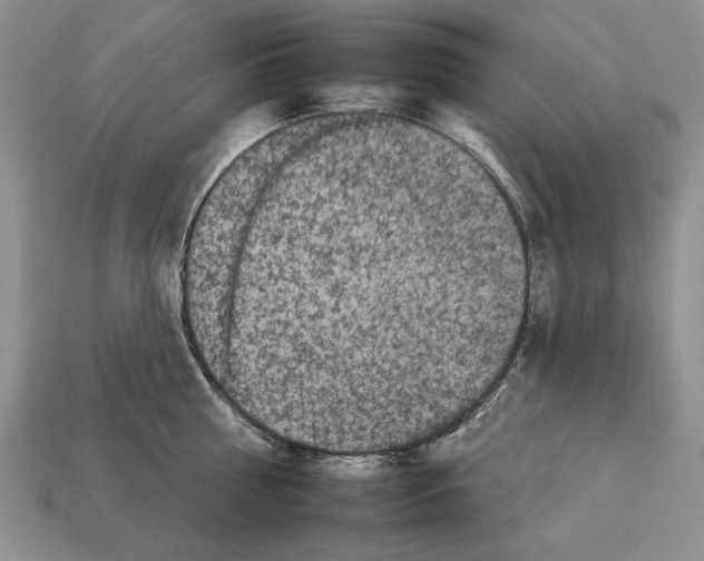X0000112930810200909211112