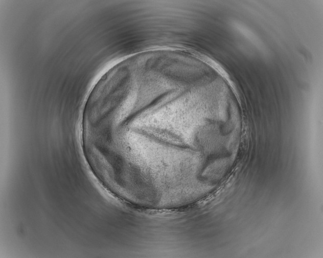 X0000112930811200909211112