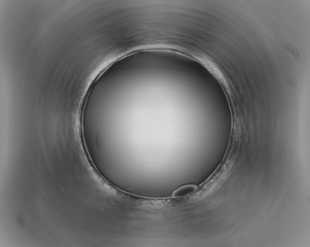 X0000112930813200909211112