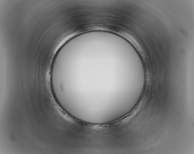 X0000112930814200909211112