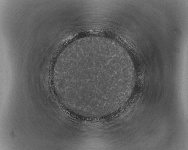 X0000112930817200909211112