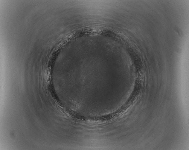 X0000112930818200909211112