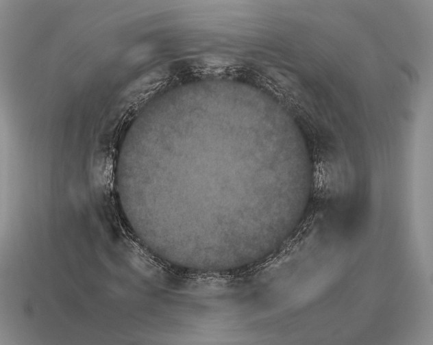 X0000112930820200909211112