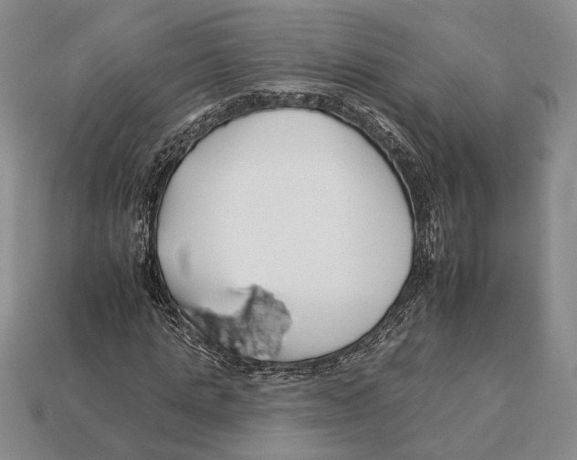 X0000112930821200909211112