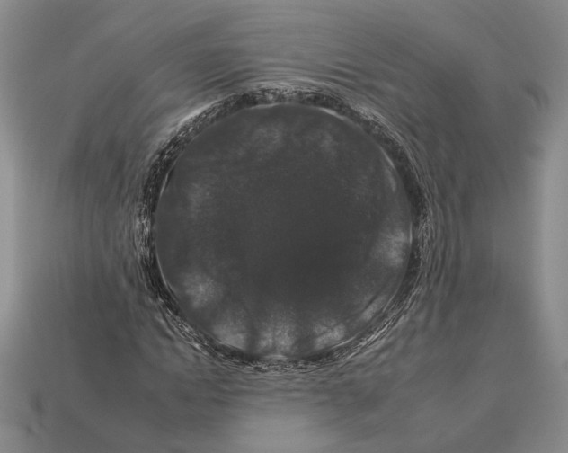 X0000112930822200909211112