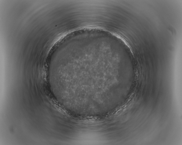 X0000112930823200909211112