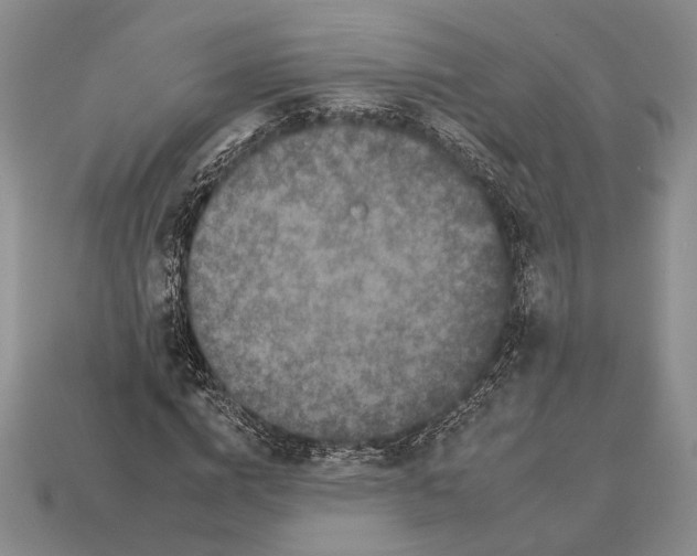 X0000112930824200909211112