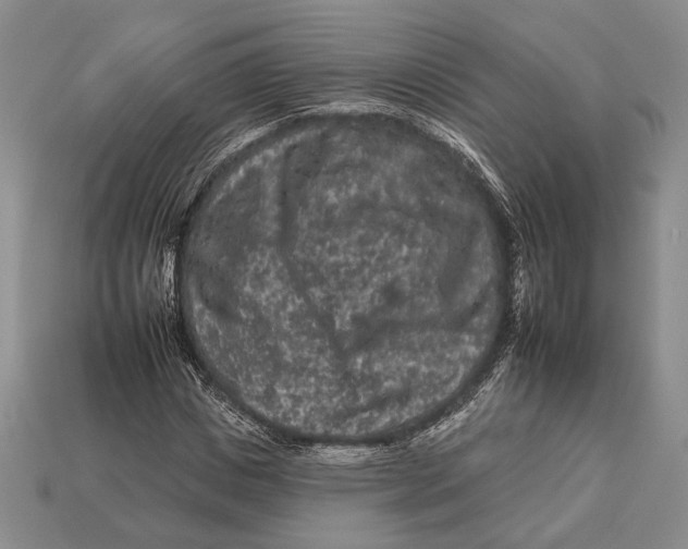 X0000112930825200909211112