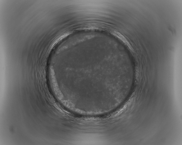 X0000112930826200909211112