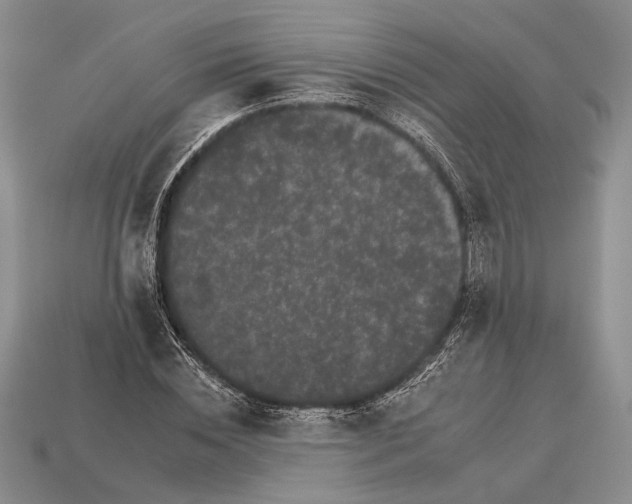 X0000112930828200909211112