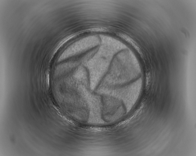 X0000112930829200909211112