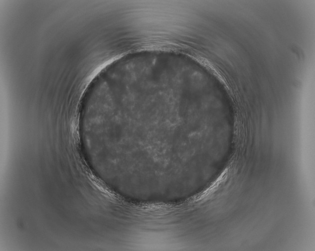 X0000112930830200909211112