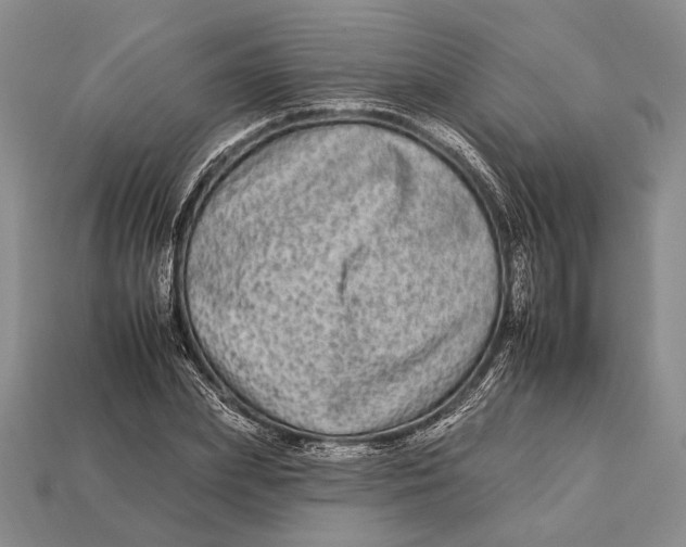 X0000112930831200909211112