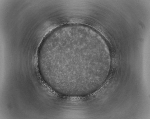 X0000112930832200909211112