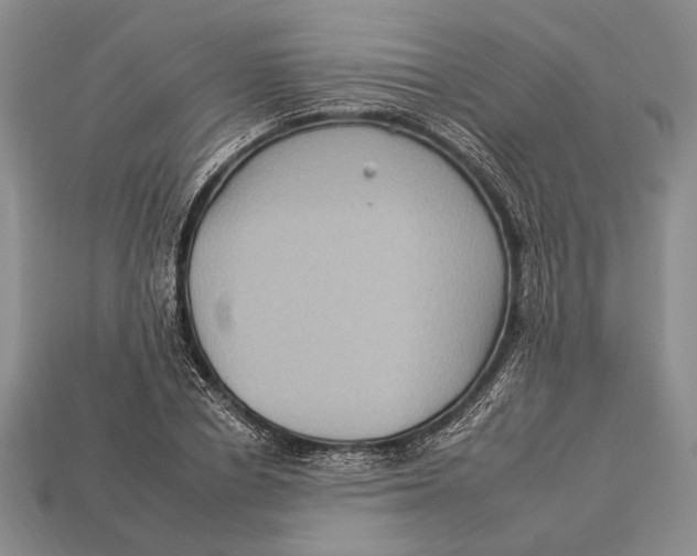 X0000112930834200909211112