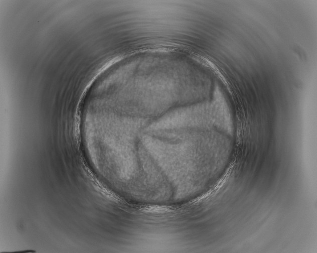 X0000112930835200909211112