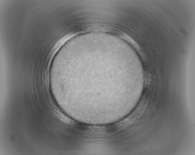 X0000112930836200909211112