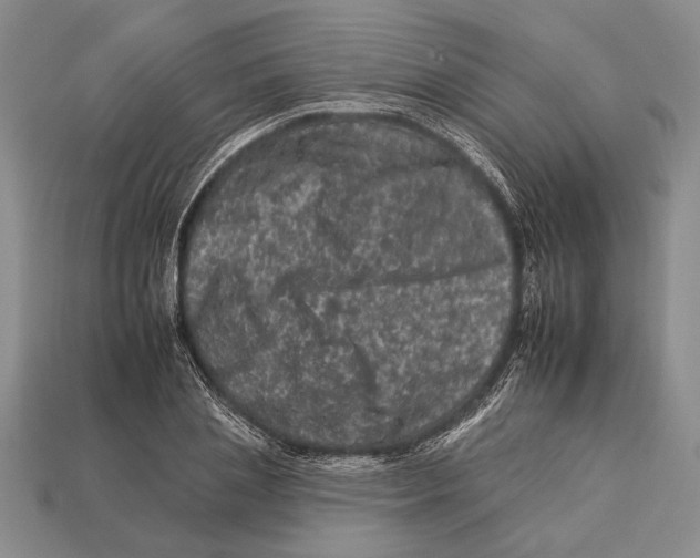 X0000112930837200909211112