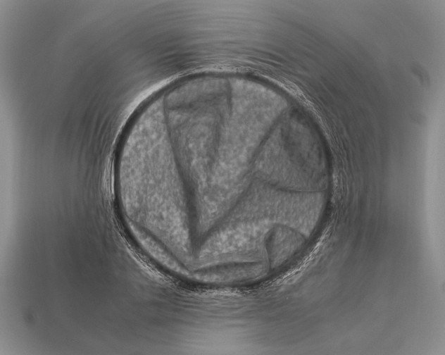 X0000112930838200909211112