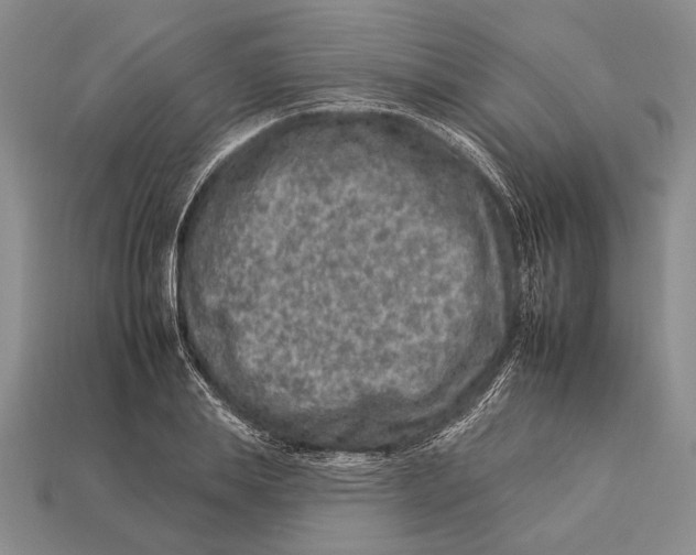 X0000112930839200909211112