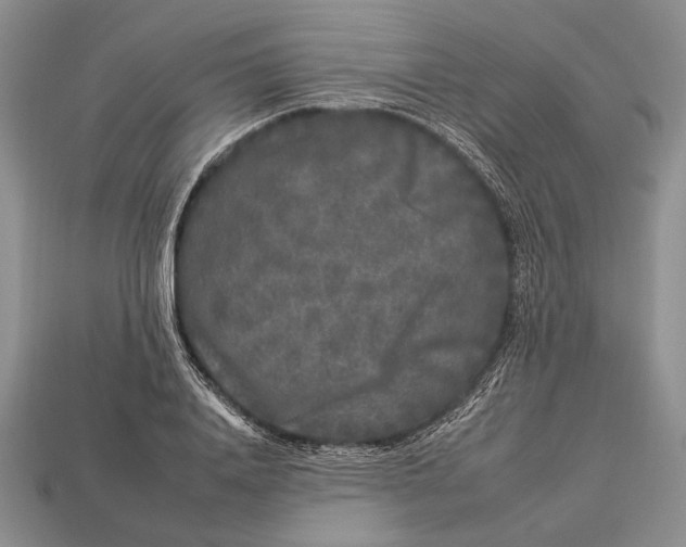 X0000112930840200909211112