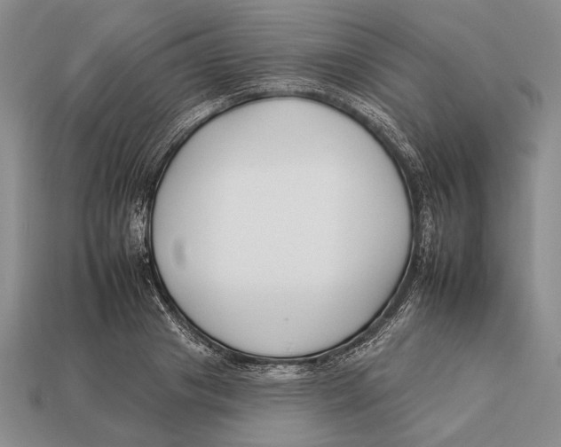 X0000112930841200909211112