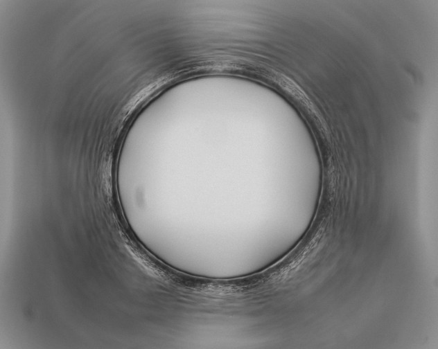 X0000112930842200909211112