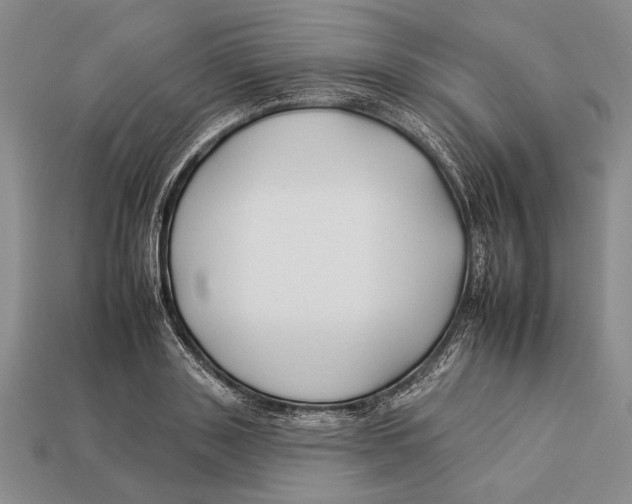 X0000112930843200909211112