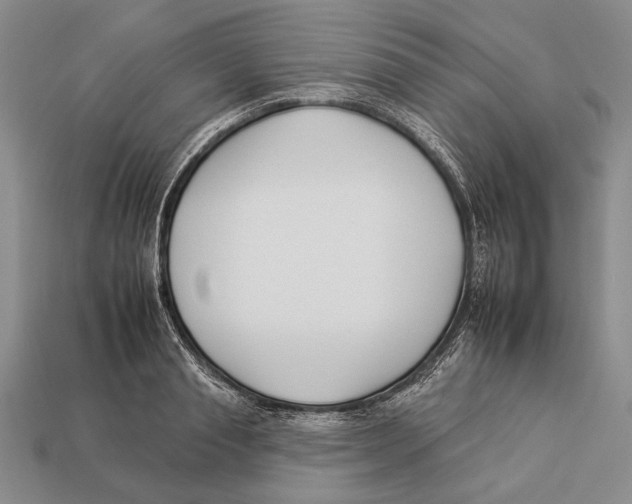 X0000112930845200909211112