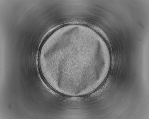X0000112930847200909211112