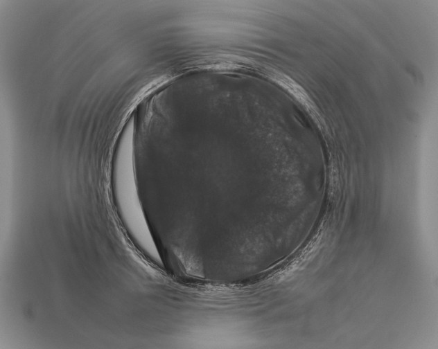 X0000112930850200909211112