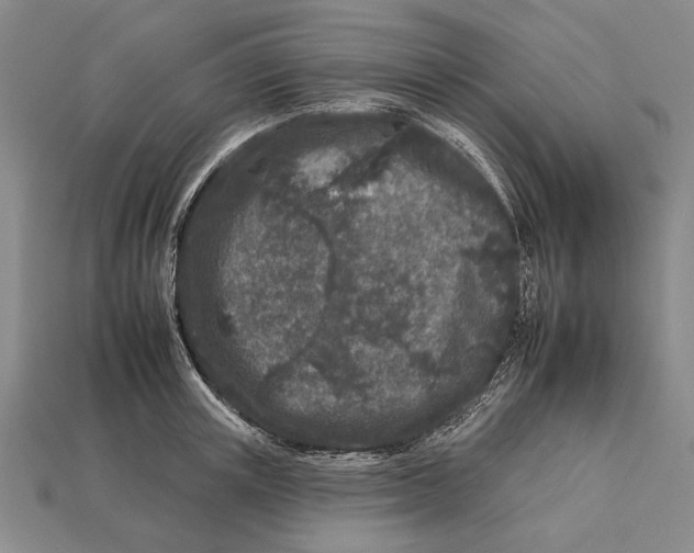 X0000112930851200909211112