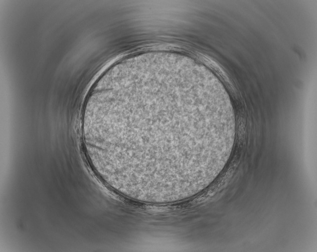 X0000112930852200909211112