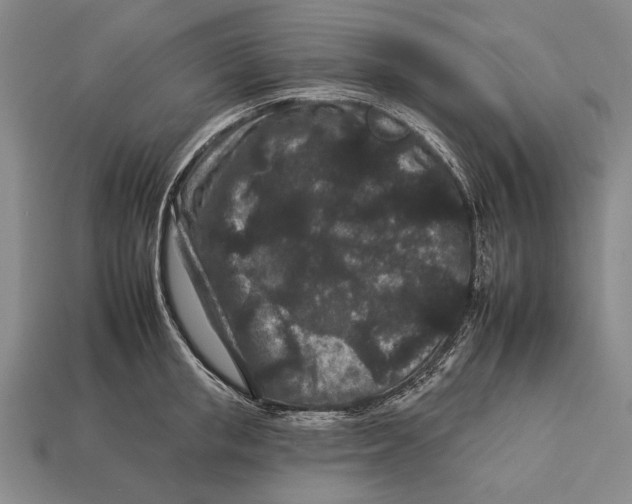 X0000112930853200909211112