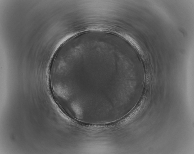 X0000112930854200909211112