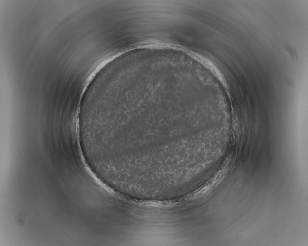 X0000112930855200909211112