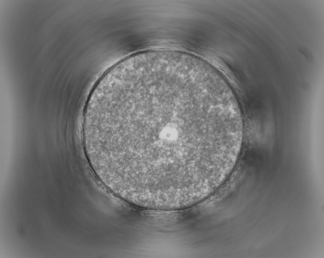 X0000112930856200909211112
