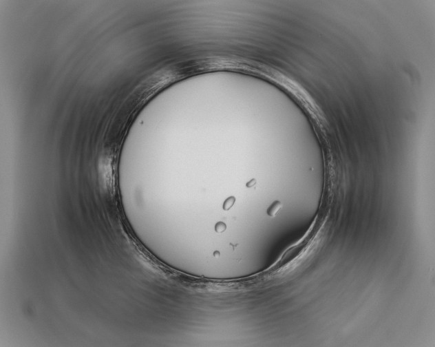 X0000112930857200909211112