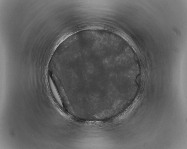 X0000112930858200909211112