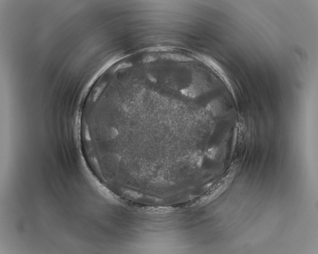 X0000112930859200909211112